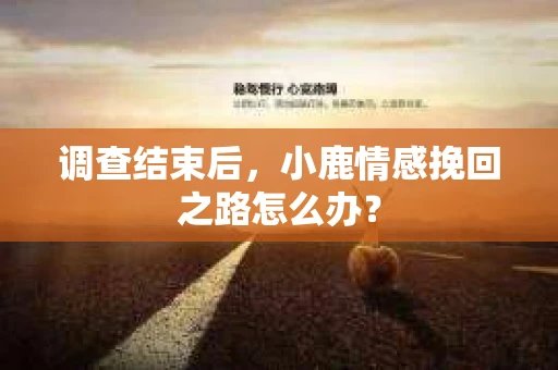 调查结束后，小鹿情感挽回之路怎么办？