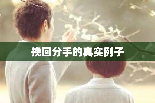 挽回分手的真实例子