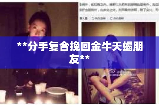 **分手复合挽回金牛天蝎朋友**