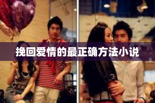 挽回爱情的最正确方法小说