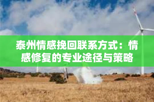 泰州情感挽回联系方式：情感修复的专业途径与策略