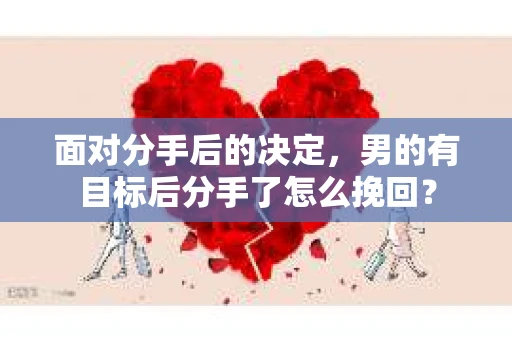 面对分手后的决定，男的有目标后分手了怎么挽回？