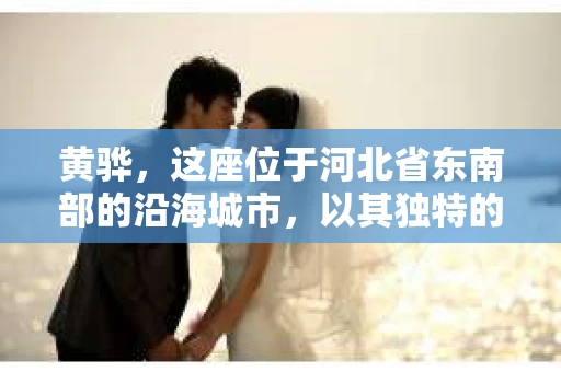 黄骅，这座位于河北省东南部的沿海城市，以其独特的地理位置和丰富的历史文化而闻名。然而，在这座城市中，还有一群人，他们以另一种方式默默守护着社会的公平与正义——私家侦探。今天，我们就来聊聊黄骅的私家侦探，看看他们是如何在这个城市中发挥作用的。