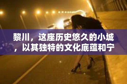 黎川，这座历史悠久的小城，以其独特的文化底蕴和宁静的生活节奏吸引着无数游客。然而，在这样一个看似平静的城市里，你是否会好奇，有没有私家侦探机构的存在呢？今天，就让我带你一探究竟。