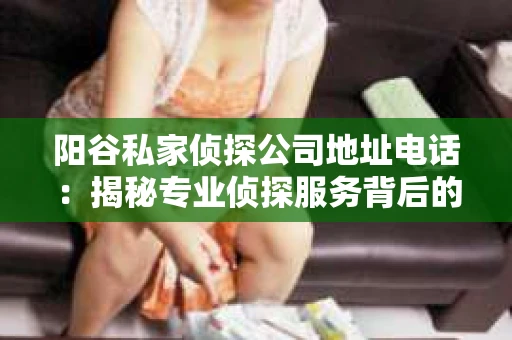 阳谷私家侦探公司地址电话：揭秘专业侦探服务背后的故事