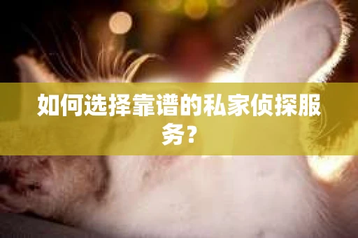 如何选择靠谱的私家侦探服务? 如何选择靠谱的私家侦探服务?