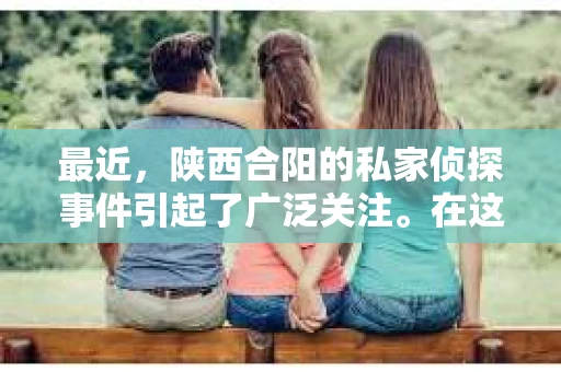 最近，陕西合阳的私家侦探事件引起了广泛关注。在这个信息爆炸的时代，隐私保护显得尤为重要。今天，我们就来聊聊这个事件，看看它背后的一些故事。