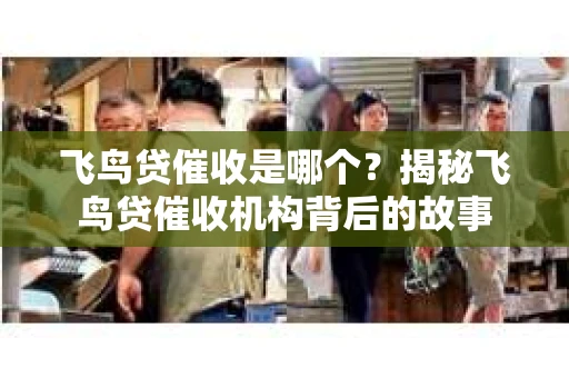 飞鸟贷催收是哪个？揭秘飞鸟贷催收机构背后的故事