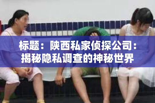 标题：陕西私家侦探公司：揭秘隐私调查的神秘世界
