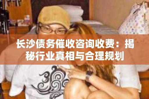长沙债务催收咨询收费：揭秘行业真相与合理规划