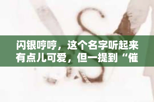 闪银哼哼，这个名字听起来有点儿可爱，但一提到“催收”，气氛就变得严肃起来。今天，我们就来聊聊这个话题，揭开“闪银哼哼催收”的神秘面纱。