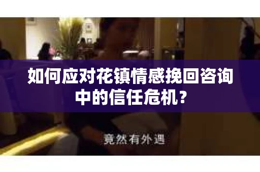 如何应对花镇情感挽回咨询中的信任危机？