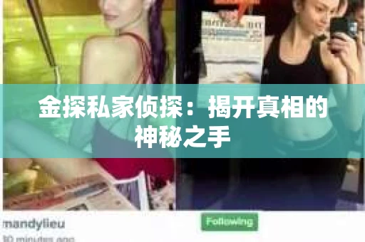 金探私家侦探：揭开真相的神秘之手