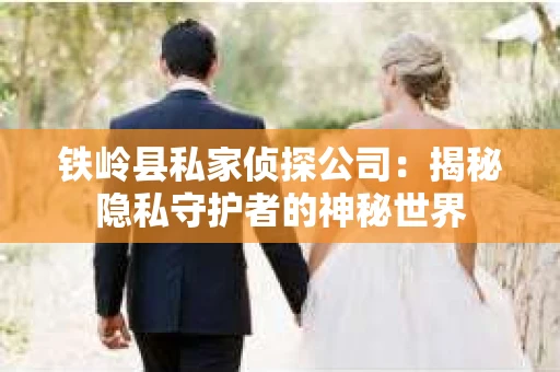 铁岭县私家侦探公司：揭秘隐私守护者的神秘世界