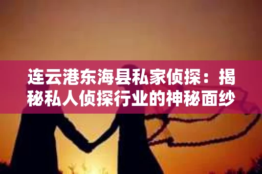 连云港东海县私家侦探：揭秘私人侦探行业的神秘面纱