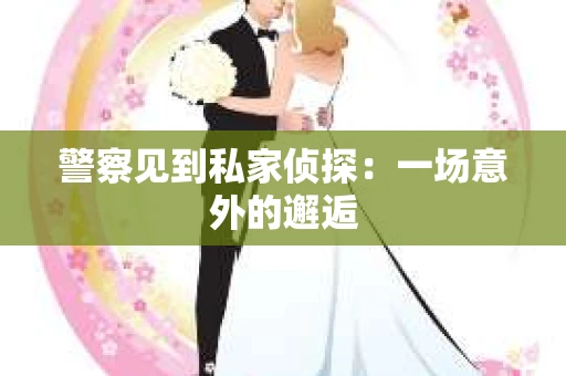 警察见到私家侦探：一场意外的邂逅