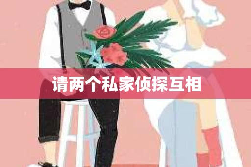 请两个私家侦探互相