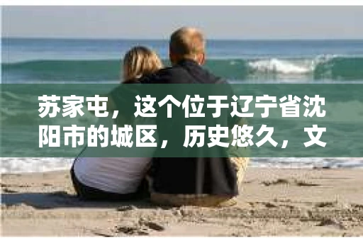 苏家屯，这个位于辽宁省沈阳市的城区，历史悠久，文化底蕴深厚。近年来，随着社会的发展，人们对于私家侦探的需求也逐渐增加。那么，苏家屯有私家侦探吗？今天，我们就来聊聊这个话题。