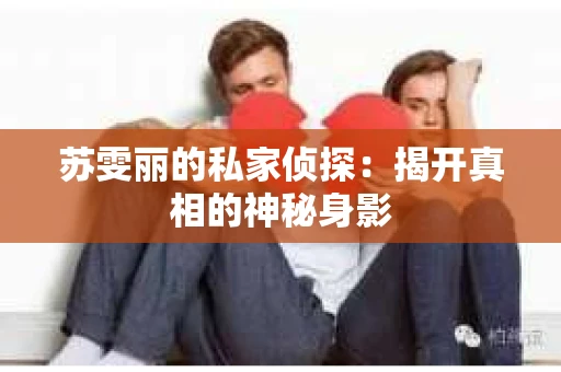 苏雯丽的私家侦探：揭开真相的神秘身影