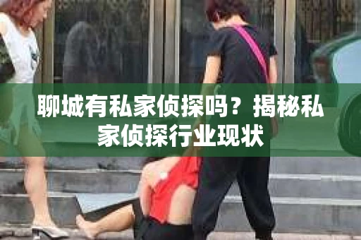 聊城有私家侦探吗？揭秘私家侦探行业现状