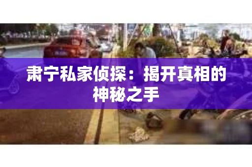 肃宁私家侦探：揭开真相的神秘之手