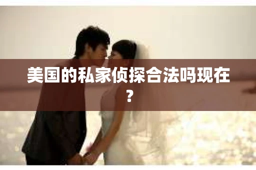 美国的私家侦探合法吗现在？