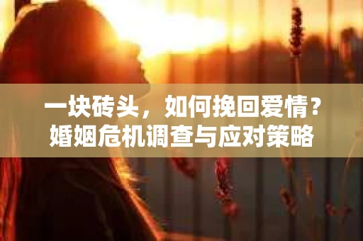一块砖头,如何挽回爱情?婚姻危机调查与应对策略 一块砖头,如何挽回爱情?婚姻危机调查与应对策略