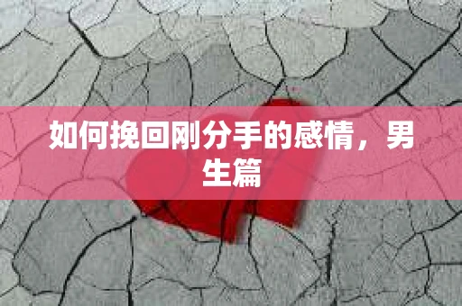 如何挽回刚分手的感情,男生篇 如何挽回刚分手的感情,男生篇