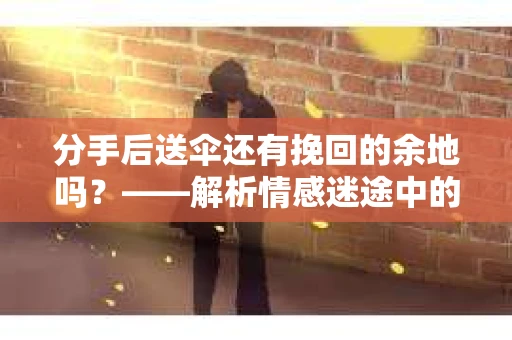 分手后送伞还有挽回的余地吗？——解析情感迷途中的决策