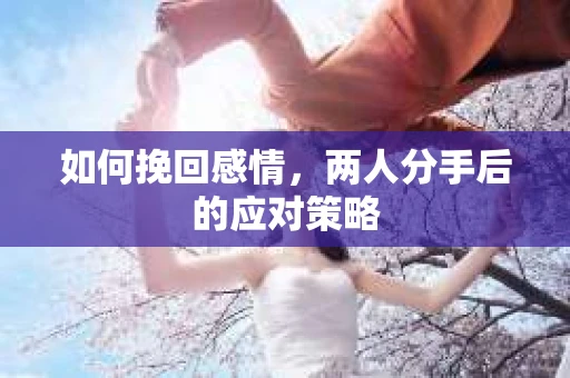 如何挽回感情，两人分手后的应对策略