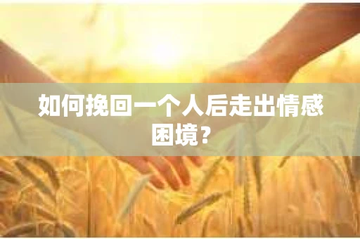如何挽回一个人后走出情感困境？